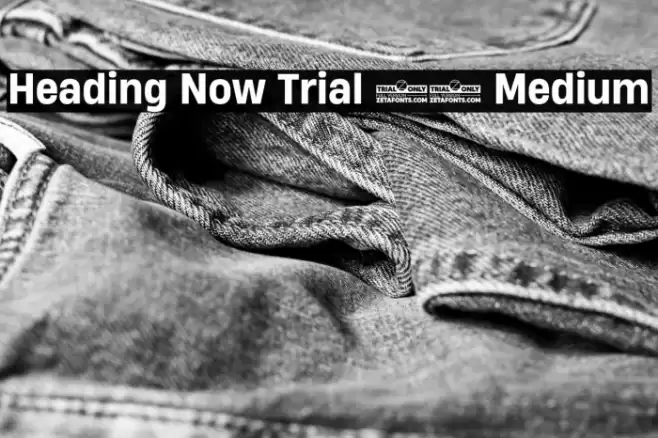 Heading Now Trial 65 Medium Font examples