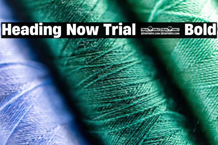 Heading Now Trial 66 Bold Example 2