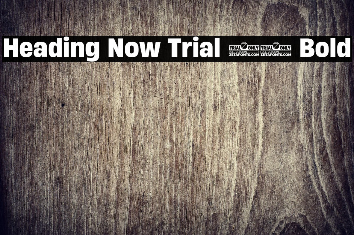 Heading Now Trial 66 Bold Example 3