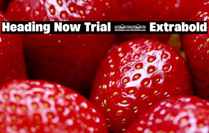 Heading Now Trial 67 Extrabold Example 1