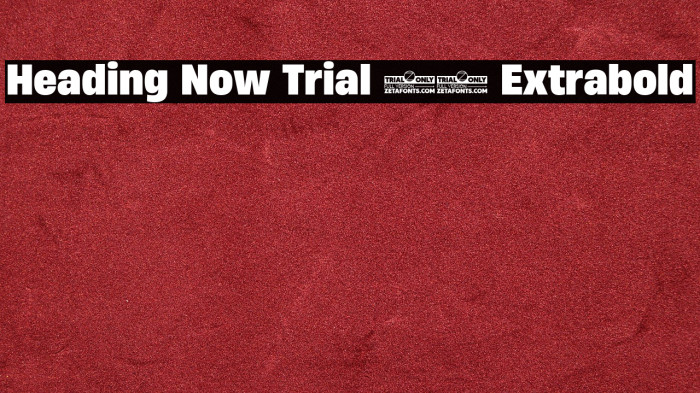 Heading Now Trial 67 Extrabold Example 2