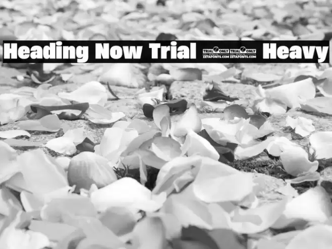 Heading Now Trial 68 Heavy Font examples