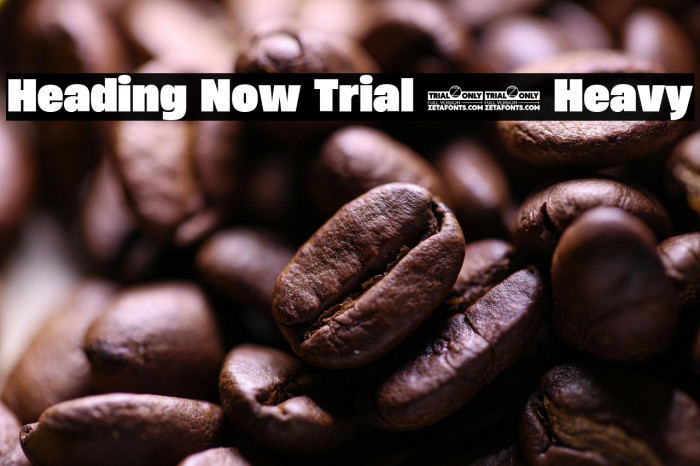 Heading Now Trial 68 Heavy Example 3