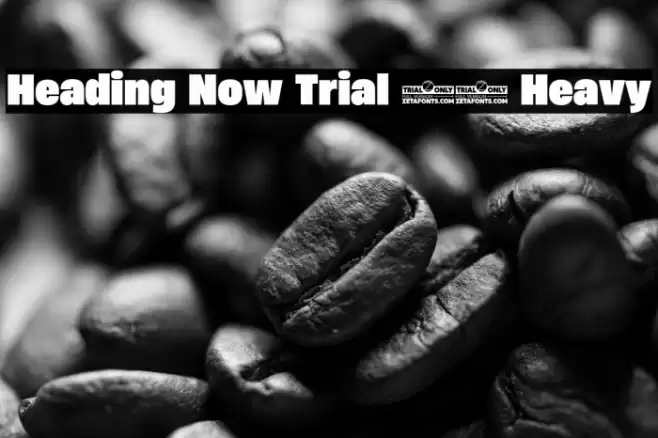 Heading Now Trial 68 Heavy Font examples