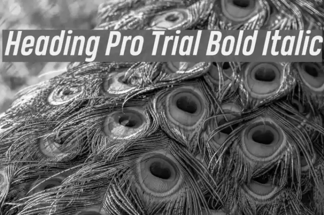 Heading Pro Trial Bold Italic Font examples