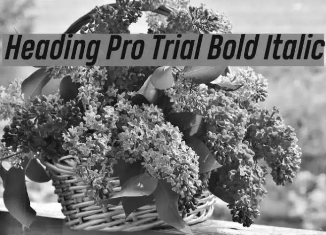 Heading Pro Trial Bold Italic Font examples