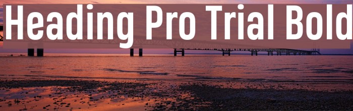 Heading Pro Trial Bold Font examples