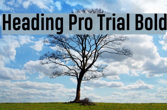 Heading Pro Trial Bold Font examples