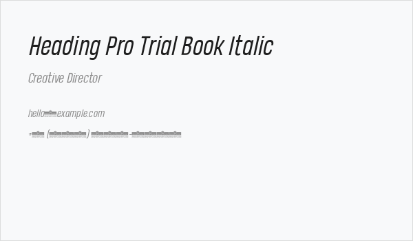 Heading Pro Trial Book Italic Business Card