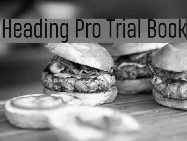 Heading Pro Trial Book Font examples