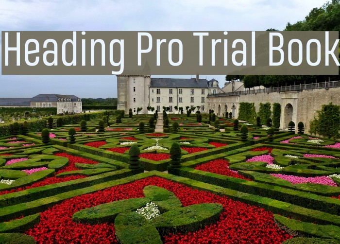 Heading Pro Trial Book Font examples