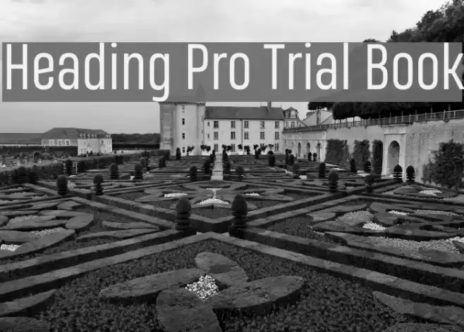 Heading Pro Trial Book Font examples