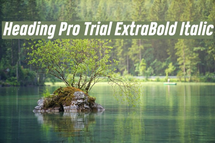 Heading Pro Trial ExtraBold Italic Example 3