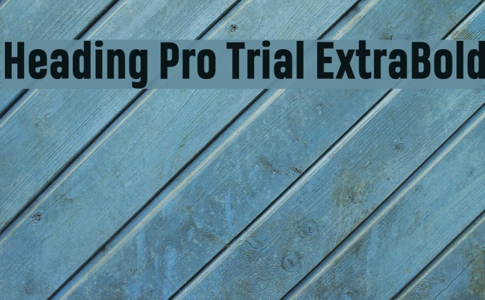 Heading Pro Trial ExtraBold Font examples