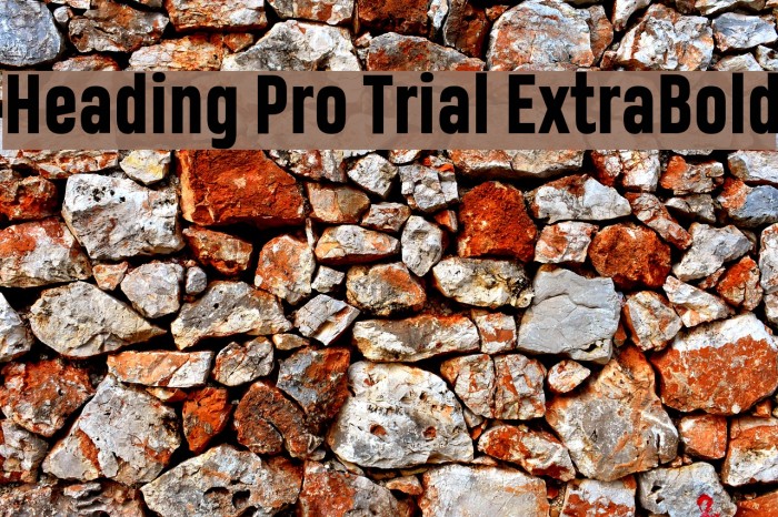 Heading Pro Trial ExtraBold Font examples