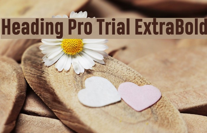 Heading Pro Trial ExtraBold Font examples