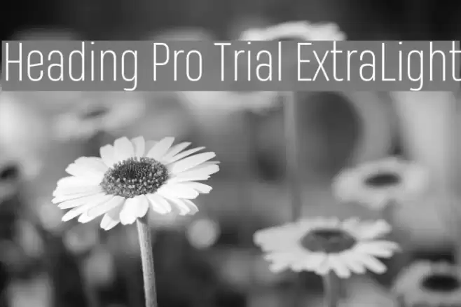 Heading Pro Trial ExtraLight Font examples