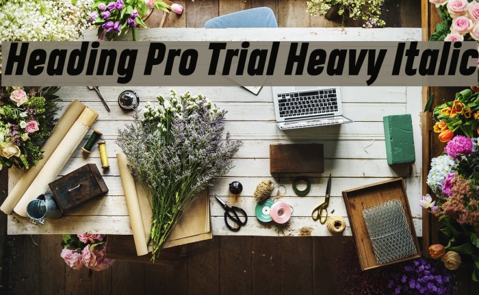 Heading Pro Trial Heavy Italic Font examples