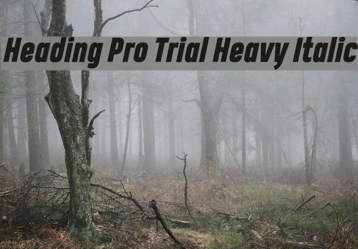 Heading Pro Trial Heavy Italic Font examples