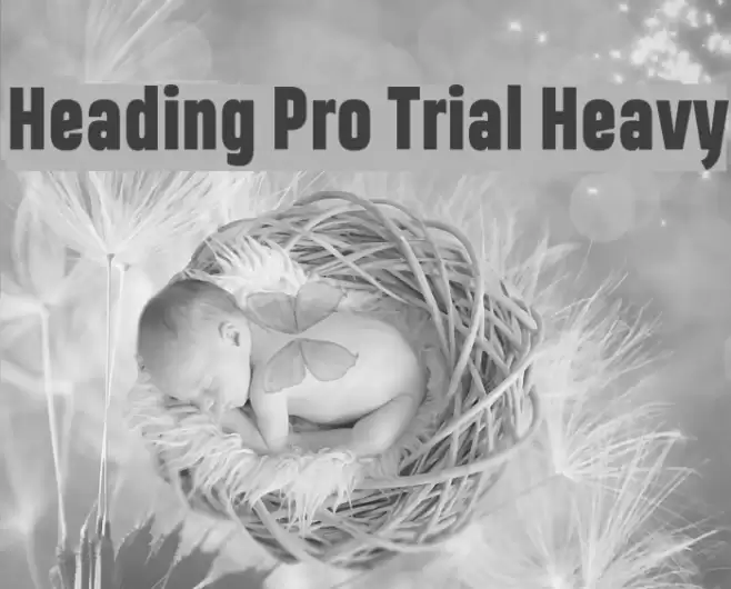 Heading Pro Trial Heavy Font examples