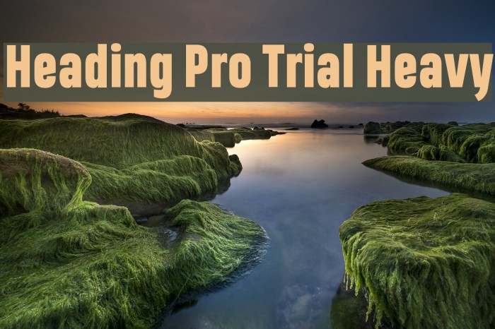 Heading Pro Trial Heavy Example 2
