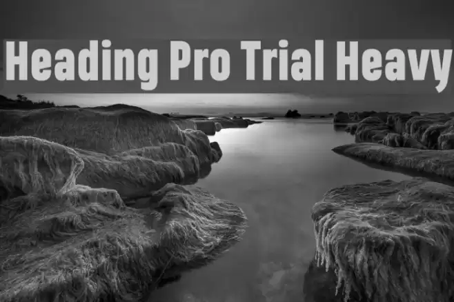 Heading Pro Trial Heavy Font examples