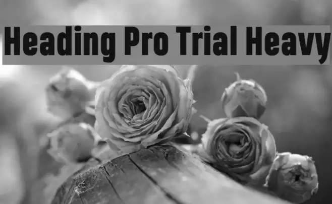 Heading Pro Trial Heavy Font examples