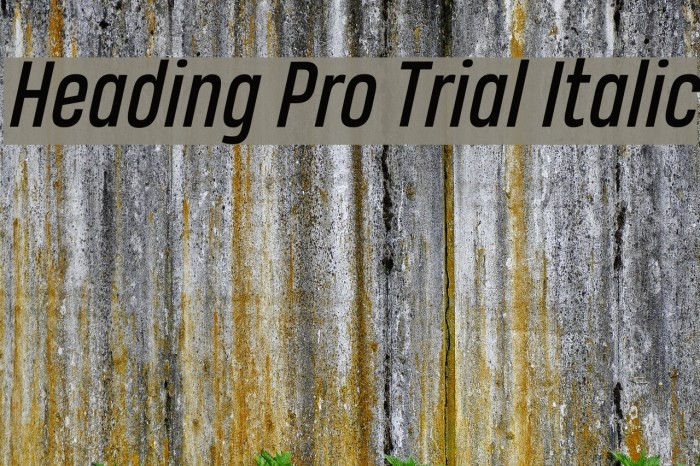 Heading Pro Trial Italic Font examples