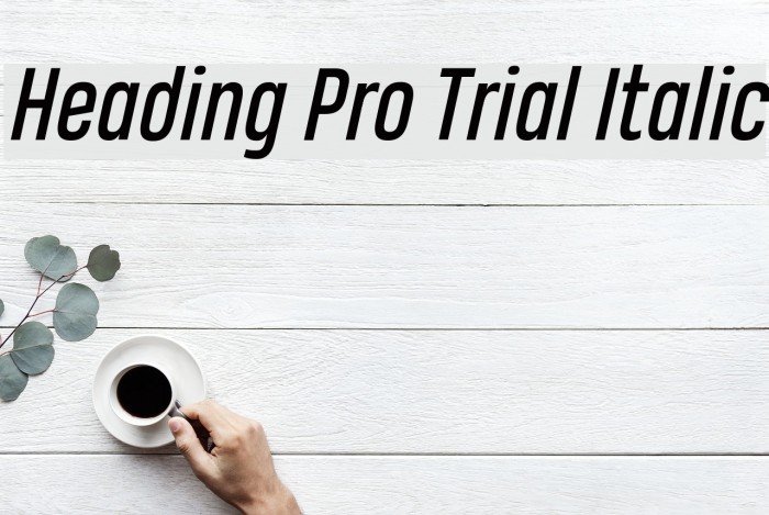 Heading Pro Trial Italic Font examples