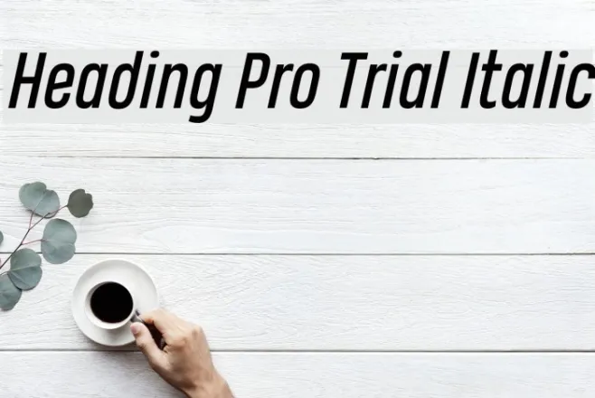 Heading Pro Trial Italic Example 3