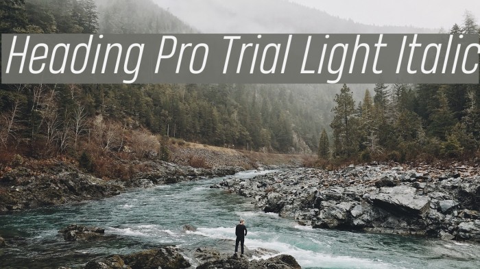 Heading Pro Trial Light Italic Font examples