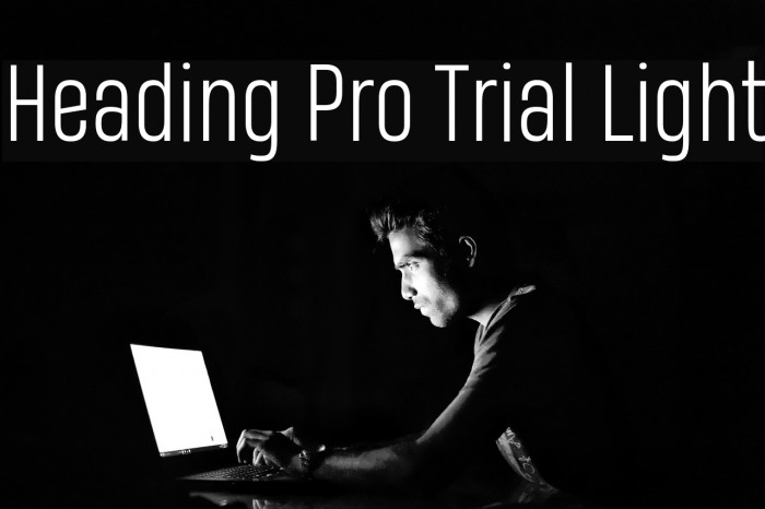 Heading Pro Trial Light Example 1