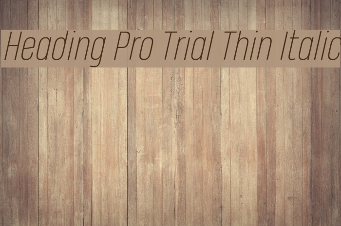Heading Pro Trial Thin Italic Example 1