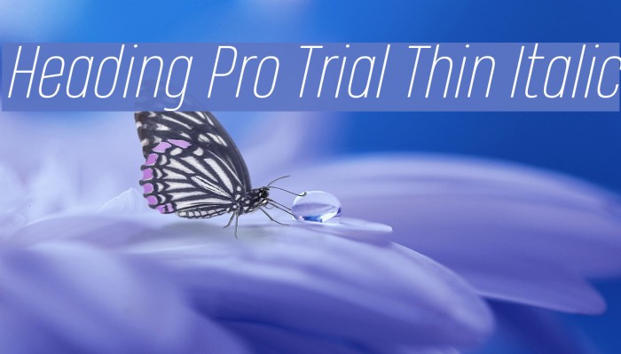 Heading Pro Trial Thin Italic Example 2