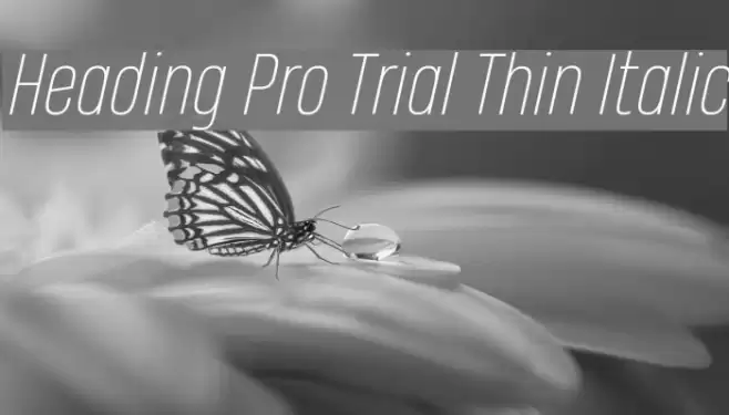 Heading Pro Trial Thin Italic Font examples
