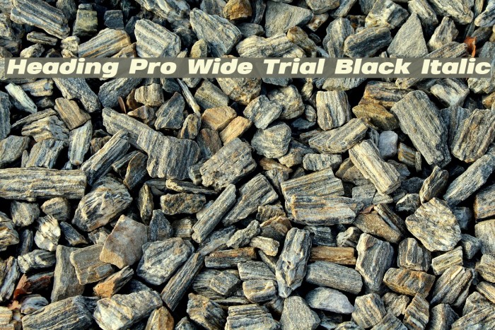 Heading Pro Wide Trial Black Italic Example 1