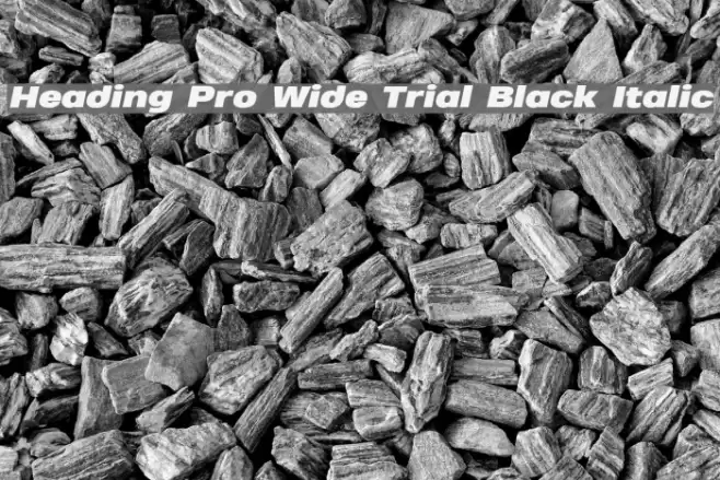 Heading Pro Wide Trial Black Italic Font examples
