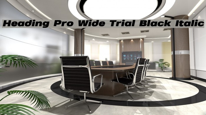 Heading Pro Wide Trial Black Italic Example 3