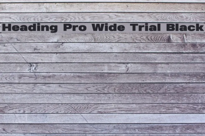 Heading Pro Wide Trial Black Example 1