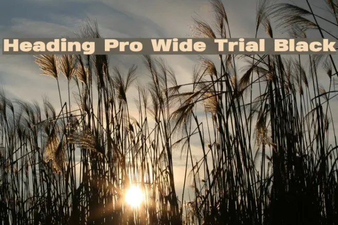 Heading Pro Wide Trial Black Example 2