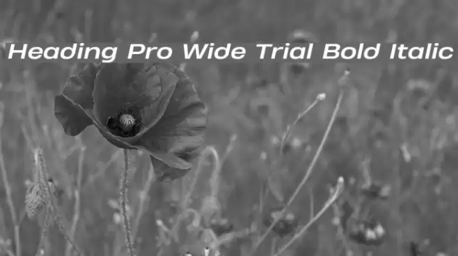 Heading Pro Wide Trial Bold Italic Font examples