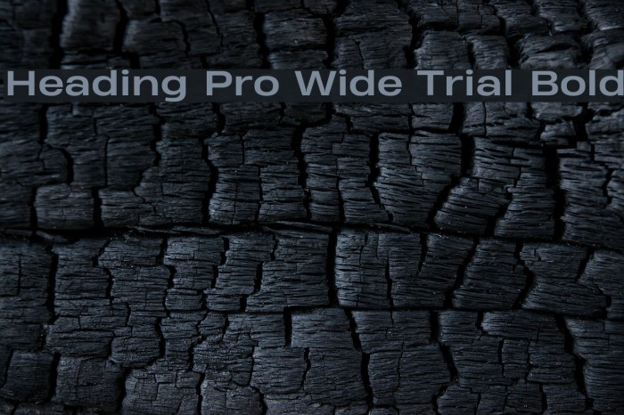 Heading Pro Wide Trial Bold Font examples