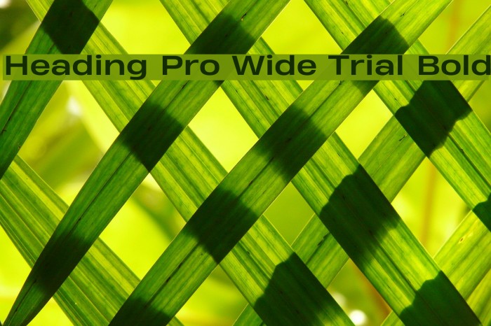 Heading Pro Wide Trial Bold Font examples