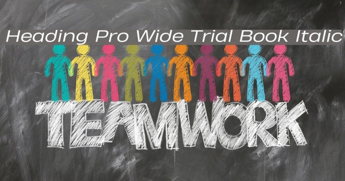 Heading Pro Wide Trial Book Italic Example 2