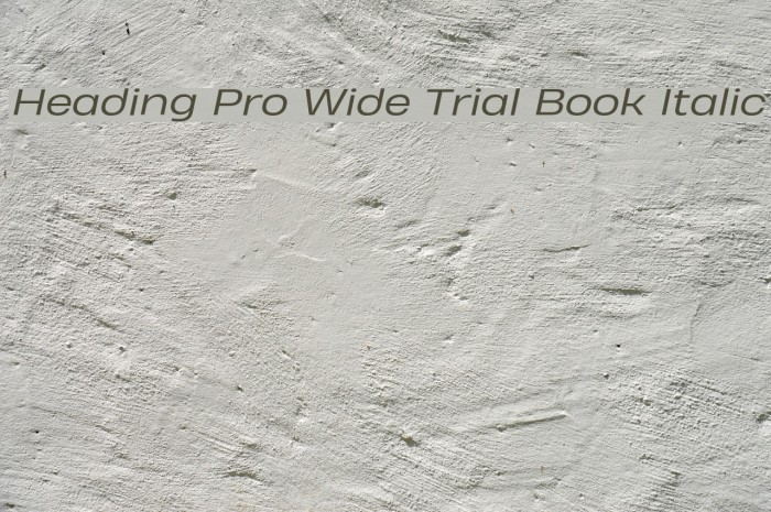 Heading Pro Wide Trial Book Italic Example 3