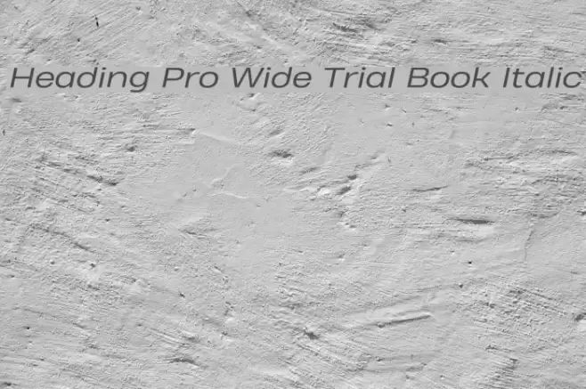 Heading Pro Wide Trial Book Italic Font examples