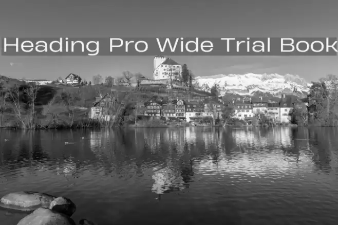 Heading Pro Wide Trial Book Font examples
