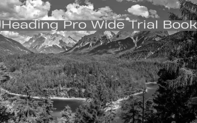 Heading Pro Wide Trial Book Font examples