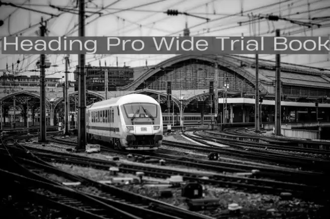 Heading Pro Wide Trial Book Font examples