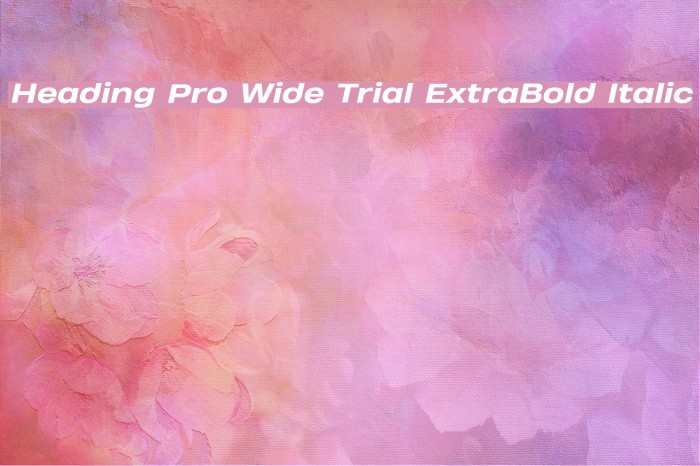 Heading Pro Wide Trial ExtraBold Italic Font examples
